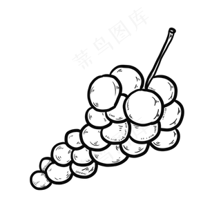 手绘线描黑加仑葡萄矢量图标素材