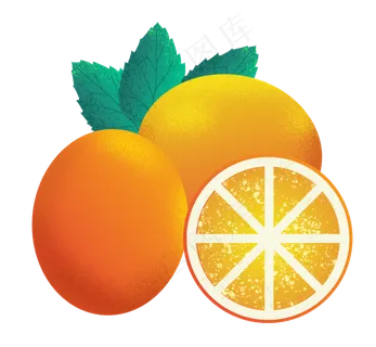 橙子水果黄色橙子