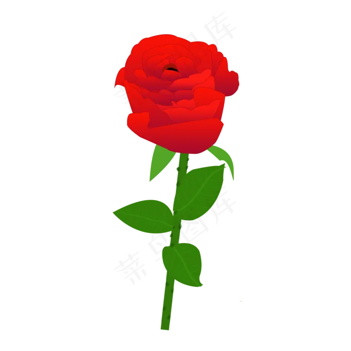 红玫瑰情人节玫瑰花绿叶花茎花朵(2000X2000(DPI:300))psd模版下载