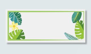 夏季暑假清凉热带植物小清新唯美,免抠元素