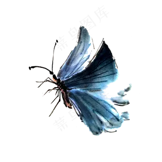 国画蝴蝶蓝色幽兰翅膀水墨PNG,免抠元素