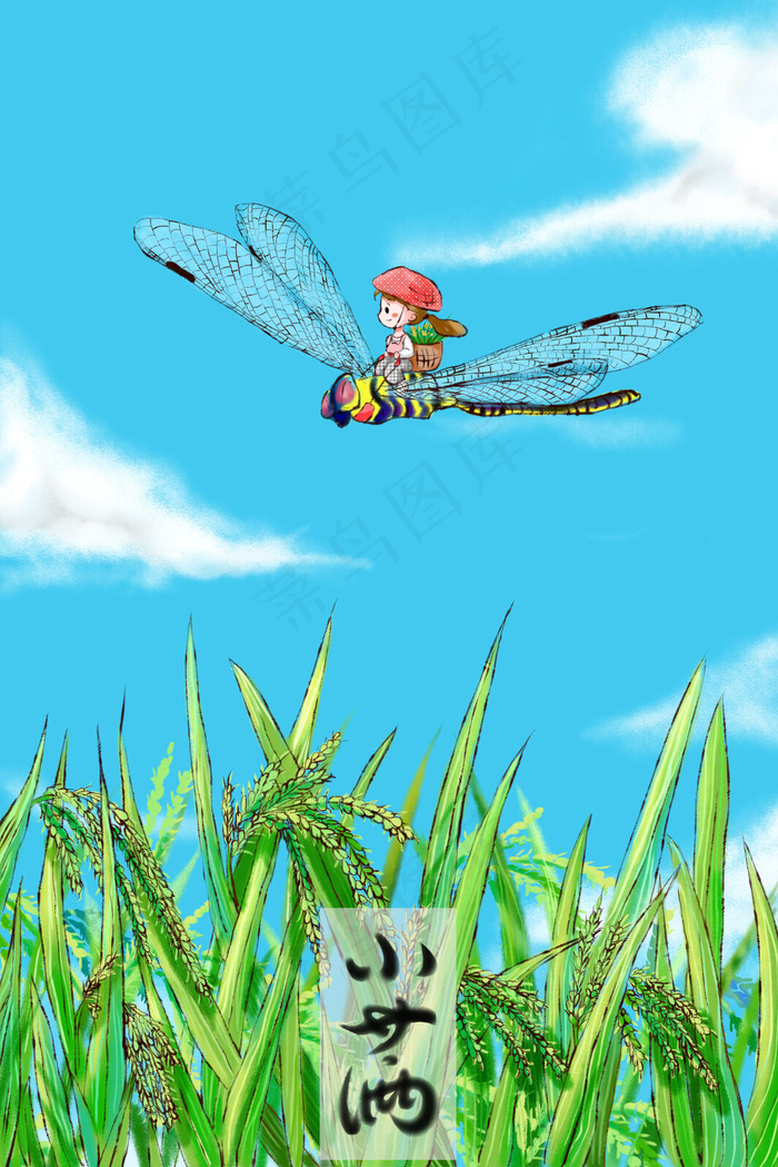二十四节气小满女孩骑蜻蜓飞过稻田小清新图