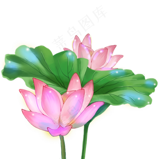 光感梦幻荷塘莲叶荷花