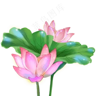 光感梦幻荷塘莲叶荷花