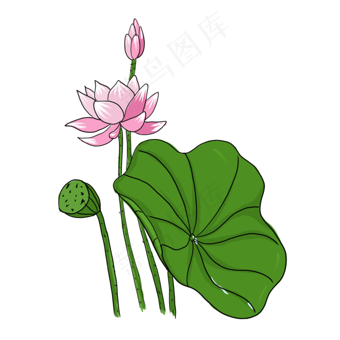 手绘中国风荷花PNG素材