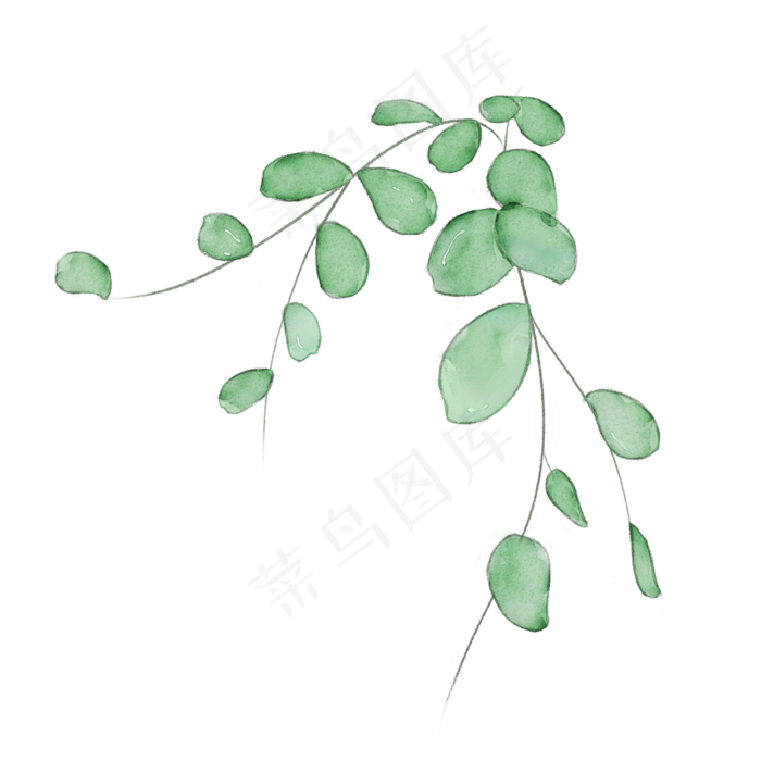 水彩春天植物叶子藤蔓,免抠元素
