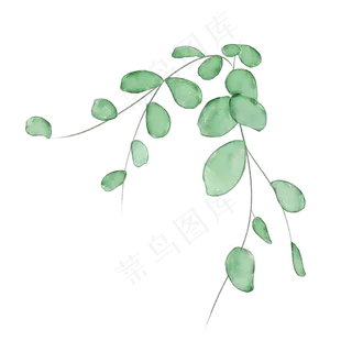 水彩春天植物叶子藤蔓,免抠元素