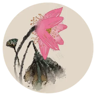 大暑荷花二十四节气PNG素材