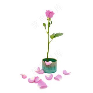 插花玫瑰花紫色和绿色花器