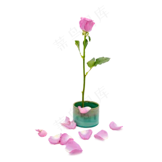 插花玫瑰花紫色和绿色花器