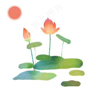 夏日小清新荷花荷叶