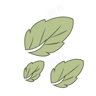 三片桑树叶子舒适春季