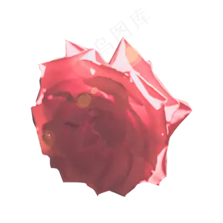 红色玫瑰花免扣图