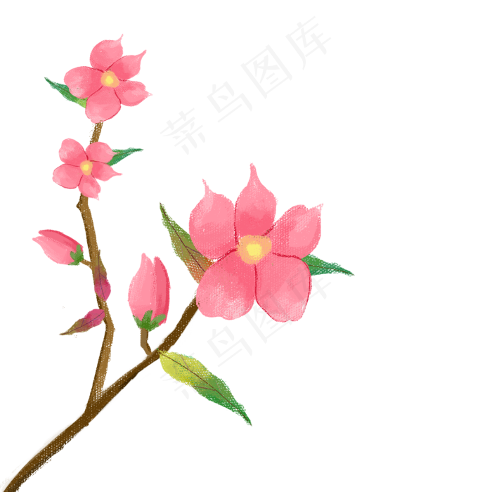 手绘带枝干叶子盛开花朵花苞桃花(2000X2000(DPI:300))psd模版下载
