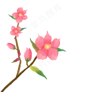 手绘带枝干叶子盛开花朵花苞桃花