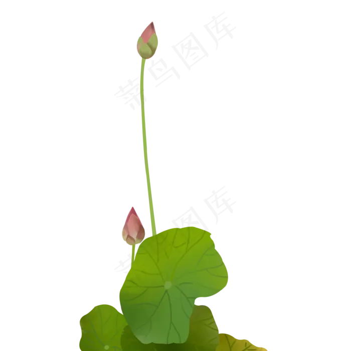 荷花夏季植物元素(2000X2000(DPI:300))psd模版下载