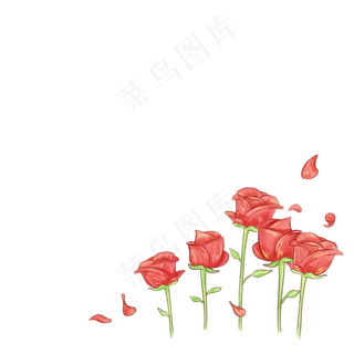 艳丽迷人的红玫瑰