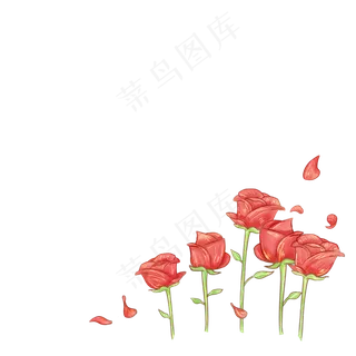 艳丽迷人的红玫瑰