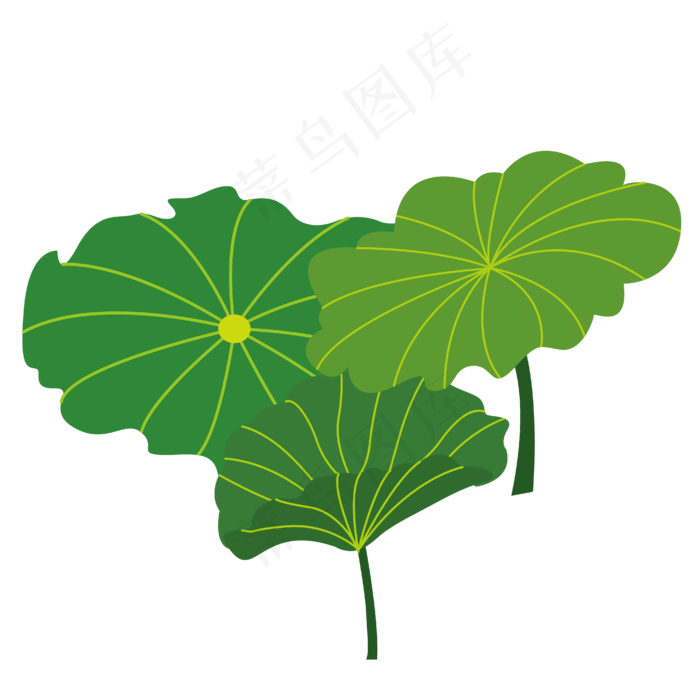 夏季绿色荷叶荷花大自然小清新(4167*4167px 300 dpi )