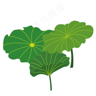 夏季绿色荷叶荷花大自然小清新