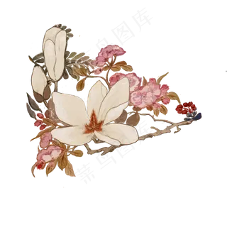 水墨玉兰写意工笔国画传统花鸟百,免抠元素