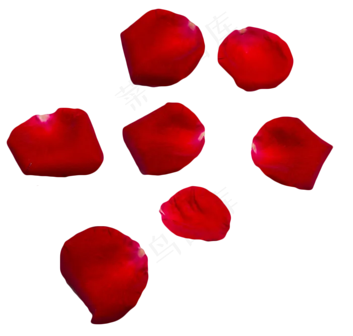 红玫瑰花瓣(1358X1294(DPI:300))psd模版下载