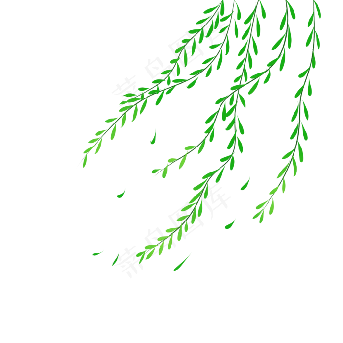 柳叶随风摆动(3000X3000(DPI:300))psd模版下载