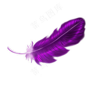 手绘细腻紫色梦幻羽毛,免抠元素