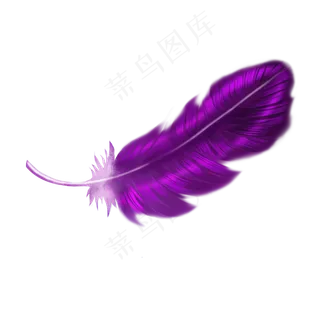 手绘细腻紫色梦幻羽毛,免抠元素