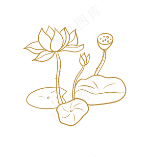 金色花金色荷花手绘