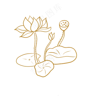 金色花金色荷花手绘