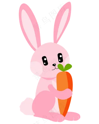 矢量兔子胡萝卜