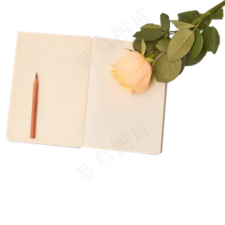 橙色的香槟玫瑰和本子免扣图