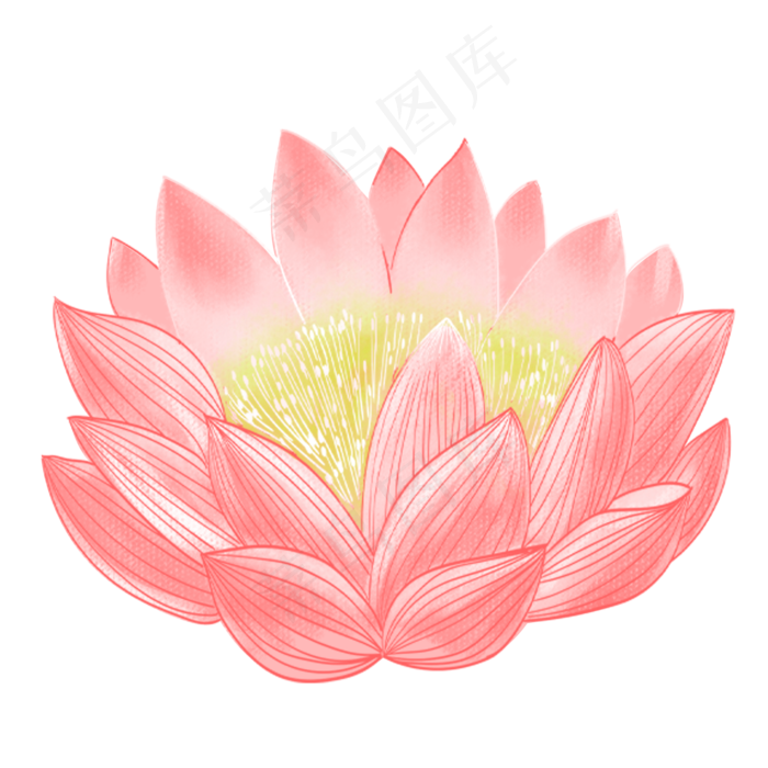 夏天荷花(2000X2000(DPI:300))psd模版下载