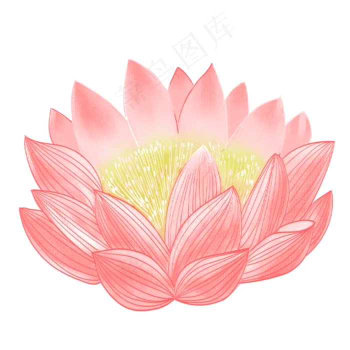 夏天荷花(2000X2000(DPI:300))psd模版下载