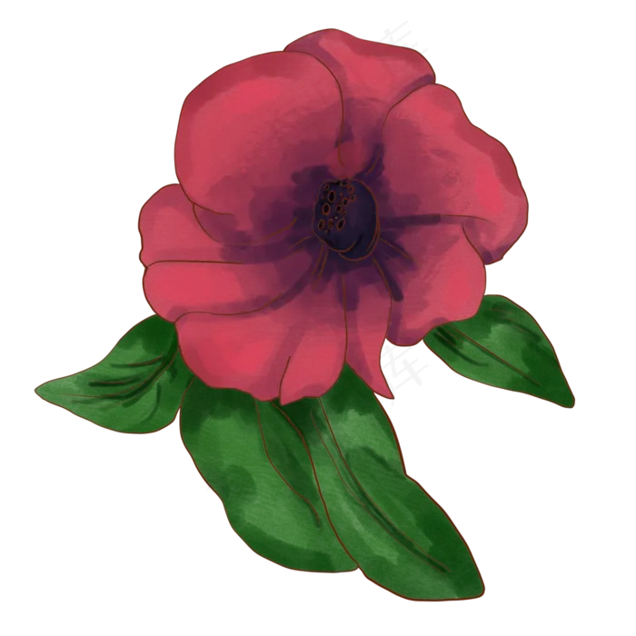 玫瑰花花朵(3000X3000(DPI:264))psd模版下载