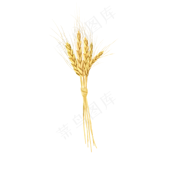 节气芒种麦束(2050X2050(DPI:299))psd模版下载