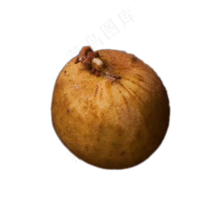 美味桂圆实物下载(2000X2000(DPI:300))psd模版下载