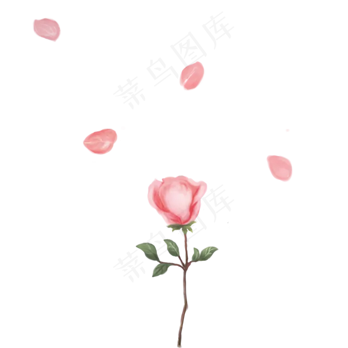 粉红玫瑰(2000X2000(DPI:300))psd模版下载