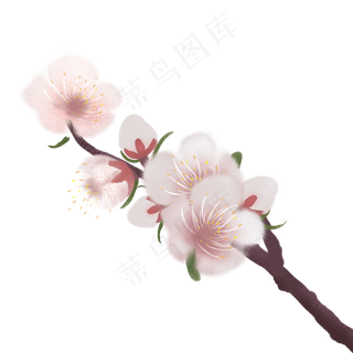 美丽粉色春天桃花