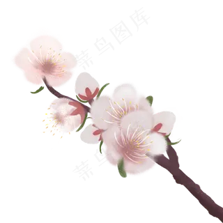 美丽粉色春天桃花 美丽粉色春天桃花