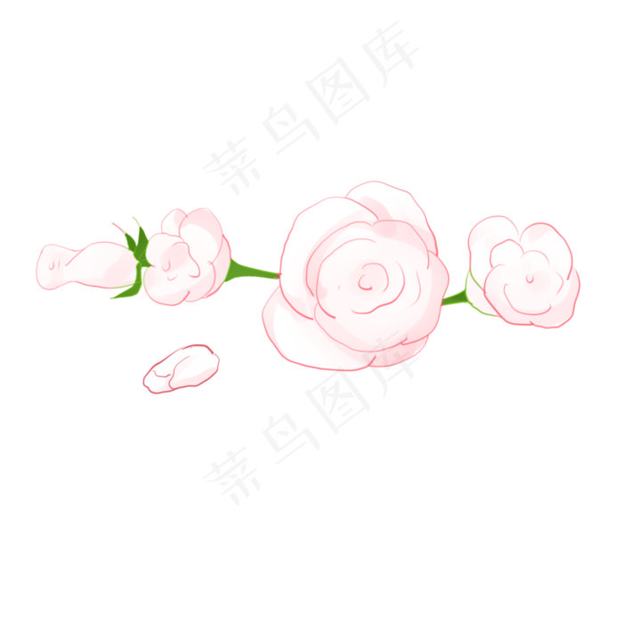 粉色玫瑰(2000X2000(DPI:300))psd模版下载