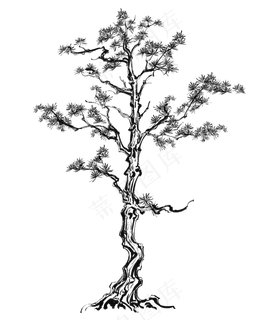 松树松柏冬天中国风,免抠元素