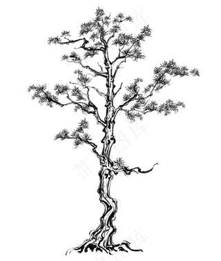 松树松柏冬天中国风,免抠元素