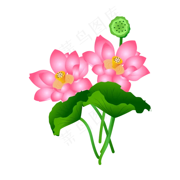 粉色莲花绿色荷叶(4167*4167px 300 dpi )ai矢量模版下载