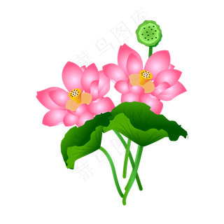 粉色莲花绿色荷叶