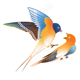 中国风国潮鸟类燕子