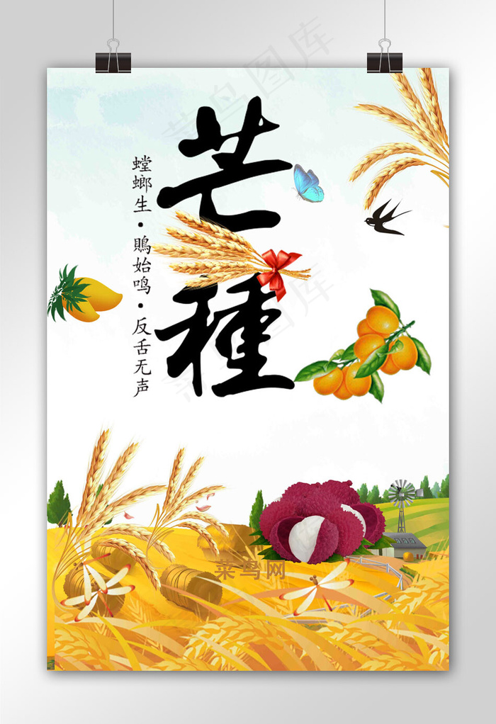 菜鸟图库原创 芒种 水果