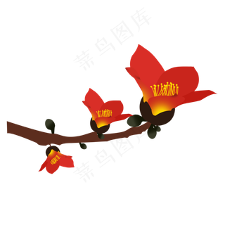 广州红色花开木棉花植物