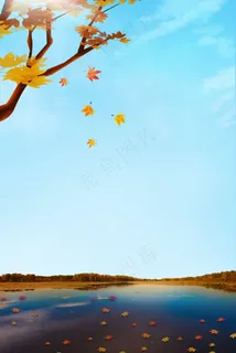 立秋节气掉落在水里的枫叶